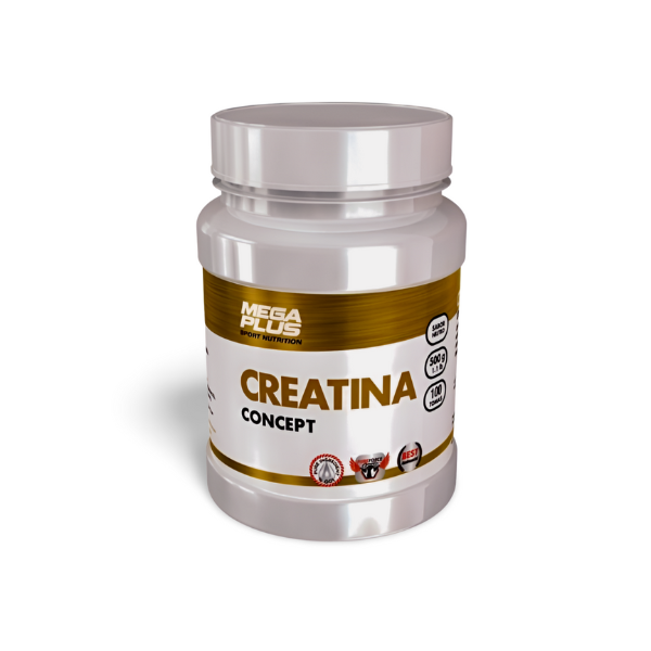 Creatina concept 500g